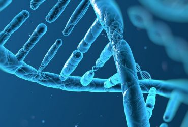 ЗАМЕСТВАЩА СХЕМА НА ТРИФАЗНА МРЕЖА С ИЗОЛИРАНА НЕУТРАЛА, ПРИ ИЗЧИСЛЯВАНЕ НА ТОКА ПРОТИЧАЩ ПРЕЗ ТЯЛОТО НА ЧОВЕКА